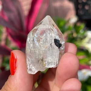 Himalayan Quartz with Black Tourmaline Inclusions!